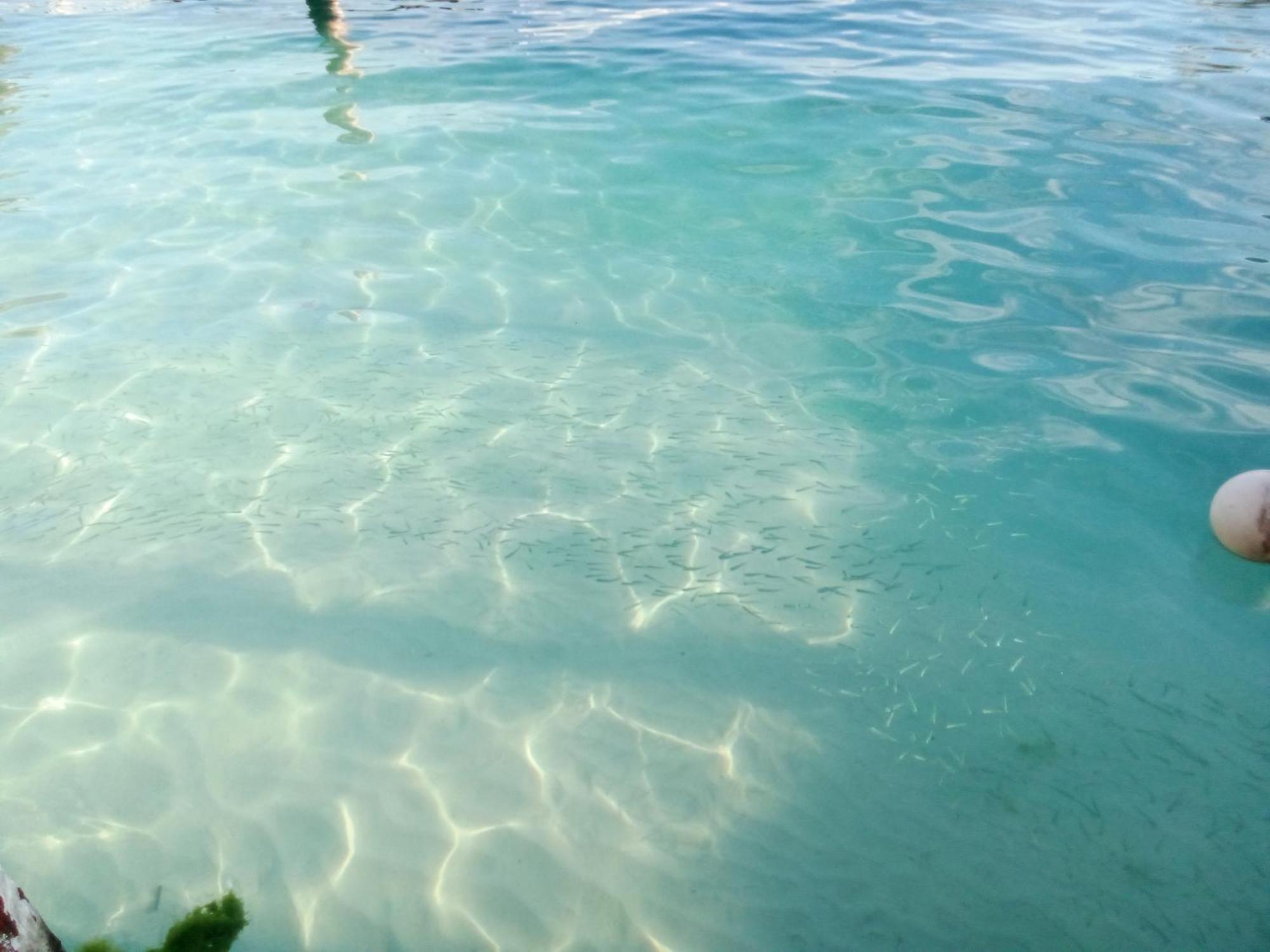 Hidden Island Glamping Isla Mujeres Hotel Kültér fotó